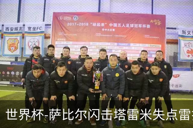 世界杯-萨比尔闪击塔雷米失点雷扎伊扬扳平 半场埃及1-1伊朗